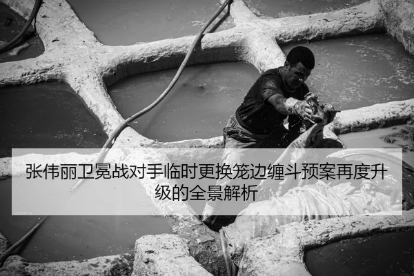 张伟丽卫冕战对手临时更换笼边缠斗预案再度升级的全景解析（YIHAOYULE）