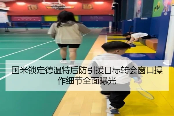 国米锁定德温特后防引援目标转会窗口操作细节全面曝光（YIHAOYULE）