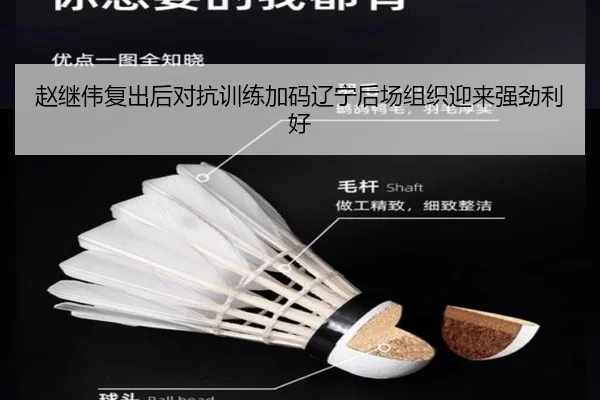 赵继伟复出后对抗训练加码辽宁后场组织迎来强劲利好（YIHAOYULE）